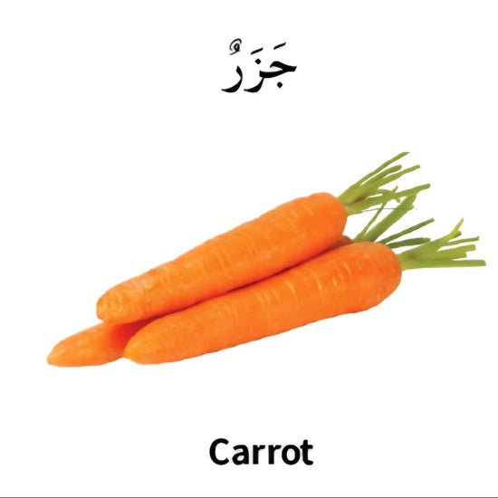 my first bilingual arabic english library my first bilingual arabic english library