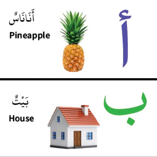 my first bilingual arabic english library my first bilingual arabic english library