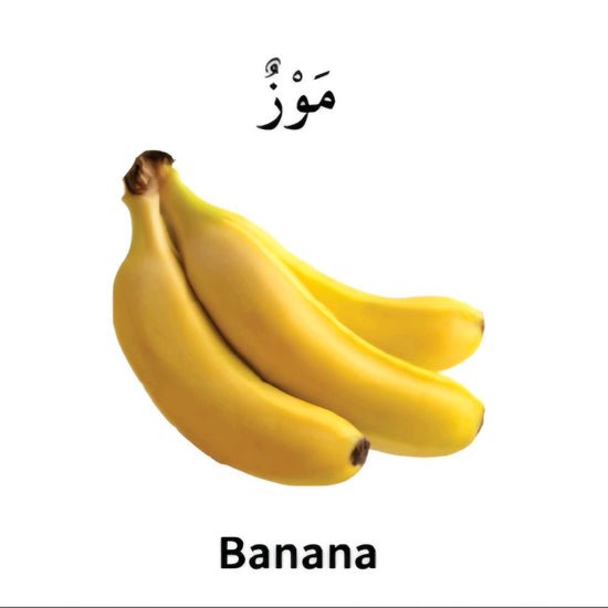 my first bilingual arabic english library my first bilingual arabic english library